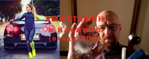 индика Арсеньев