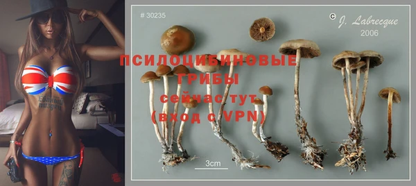 индика Арсеньев