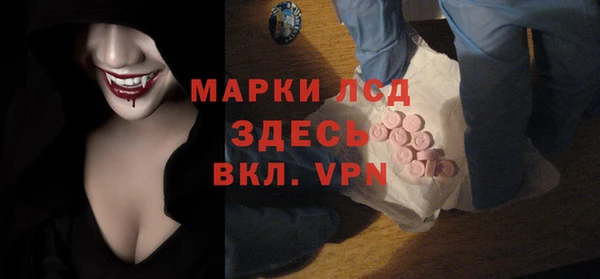 индика Арсеньев