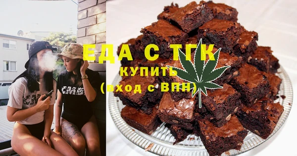 индика Арсеньев