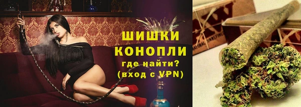 трава Аркадак