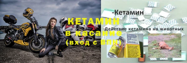 трава Аркадак