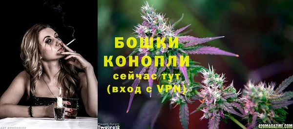 индика Сатка