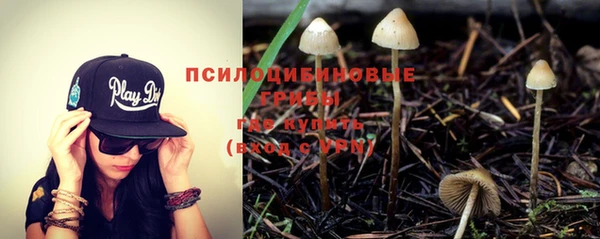 гашик Армянск