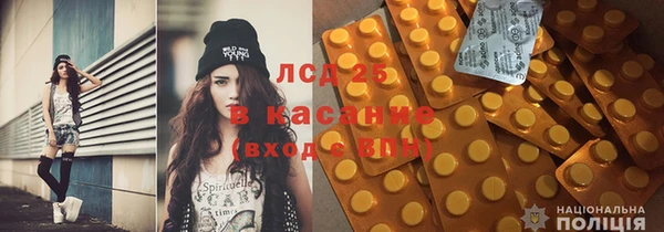 индика Арсеньев