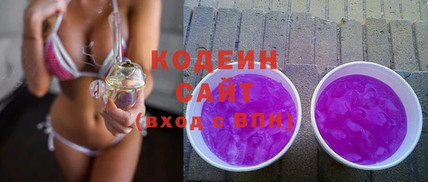 индика Арсеньев