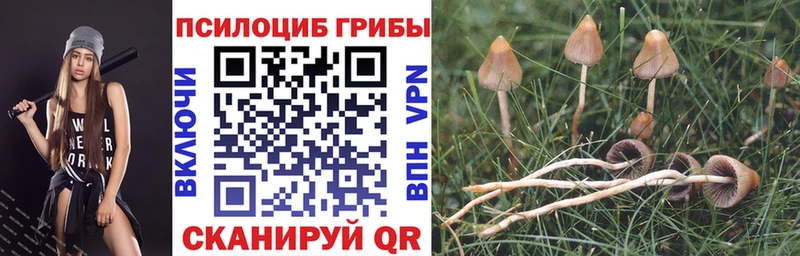 Галлюциногенные грибы GOLDEN TEACHER  ОМГ ОМГ   Георгиевск 